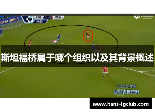 斯坦福桥属于哪个组织以及其背景概述