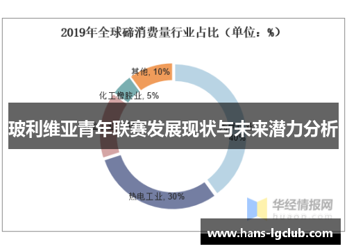 玻利维亚青年联赛发展现状与未来潜力分析