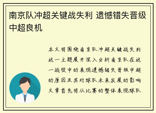 南京队冲超关键战失利 遗憾错失晋级中超良机